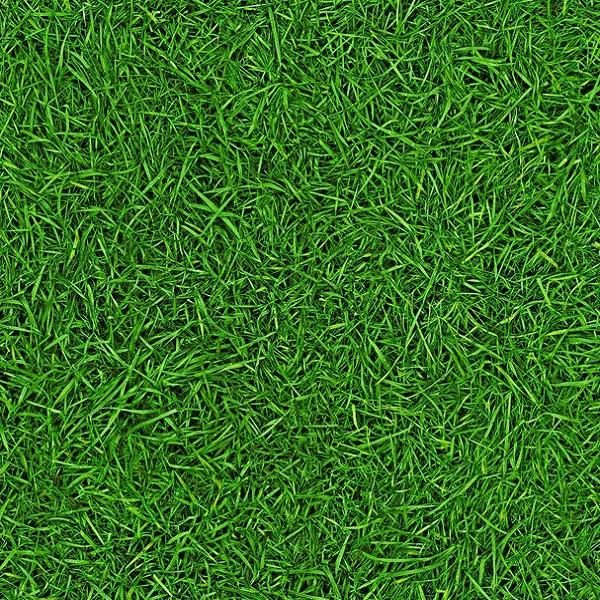 Лінолеум IVC Bingo Grass 25 3,0м